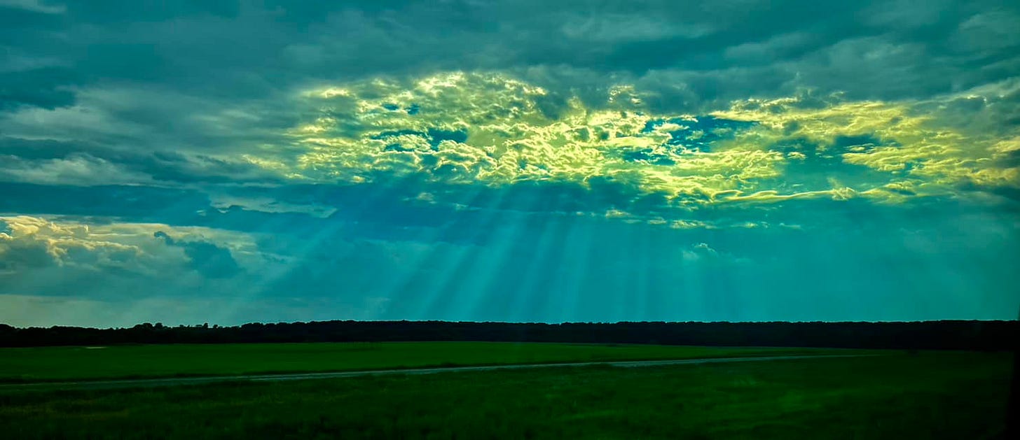 May be an image of twilight, grass, horizon and cloud