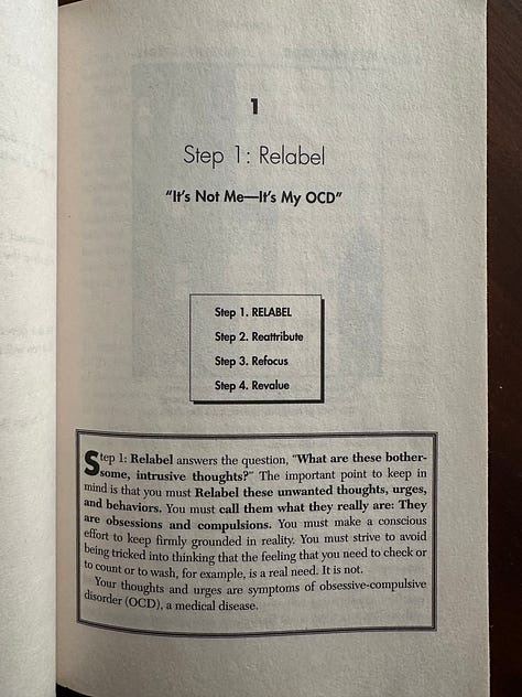 Cover and select pages (dedication and four steps of process) from Brain Lock book