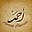 Ahmed Mansour's avatar