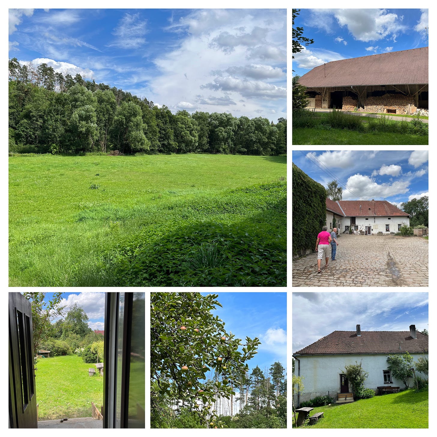 Large green field, barn with firewood stacked outside, stone courtyard and farmhouse, view of the house from the backyard, apple tree, view of backyard from kitchen Large green field, barn with firewood stacked outside, stone courtyard and farmhouse, view of the house from the backyard, apple tree, view of backyard from kitchen