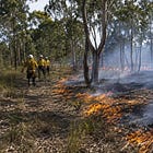 Smoke alert issued for Moogerah Peaks planned burn