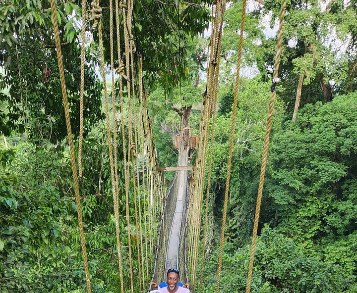 Two photos of a wooden walkway, suspended by ropes and platforms, 130 feet above the forest floor.  In the left photo, Nii Addy is near the end of the walkway, smiling and wearing a purple t-shirt. On the right, two portions of the bridge are shown, connected with a platform in the middle.