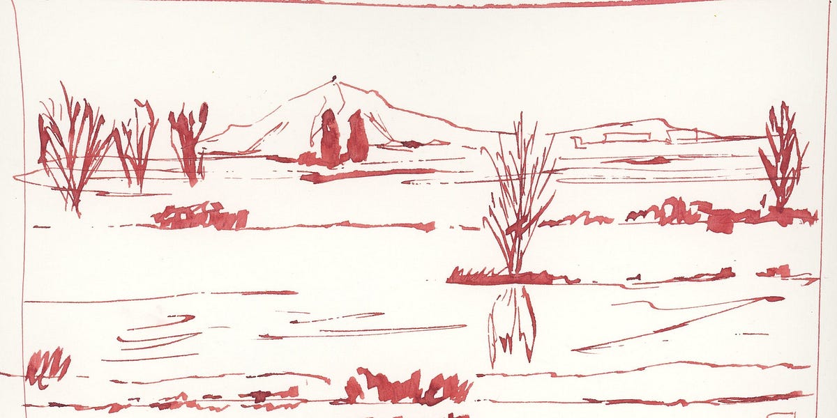 Art Lesson #12: Draw Upside Down - by Amy Stewart