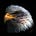 Patti LaRue's avatar