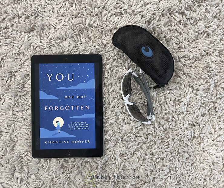 book cover You Are Not forgotten by christine hoover book review