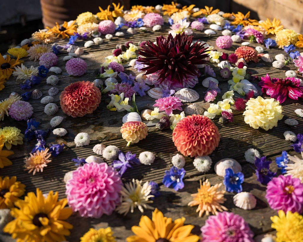 A large circular mandala made from the heads of colourful homegrown flowers picked from the garden