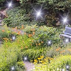 Welcome and Some Magic for You Today