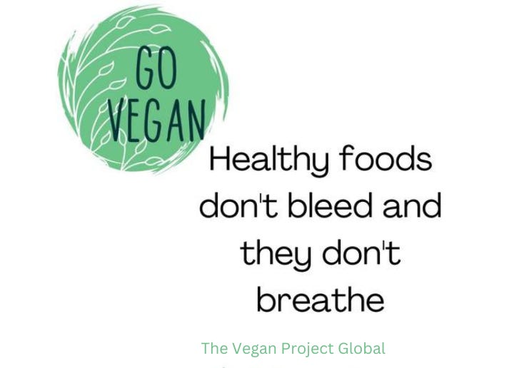 true healthy food doesn’t come from sentient beings who bleed and breathe. It emphasizes the ethical and health-based reasons for choosing a plant-based diet, reinforcing the core principles of The Vegan Project Global. 🌱 true healthy food doesn’t come from sentient beings who bleed and breathe. It emphasizes the ethical and health-based reasons for choosing a plant-based diet, reinforcing the core principles of The Vegan Project Global. 🌱