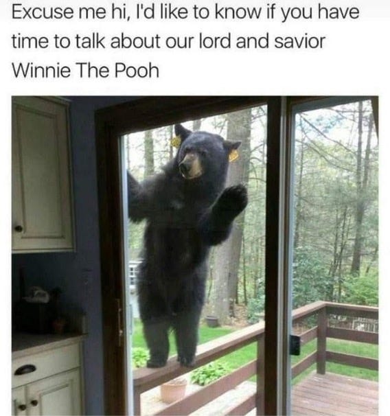 large black grizzly bear waving hello outside kitchen door