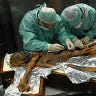Anthropology.net