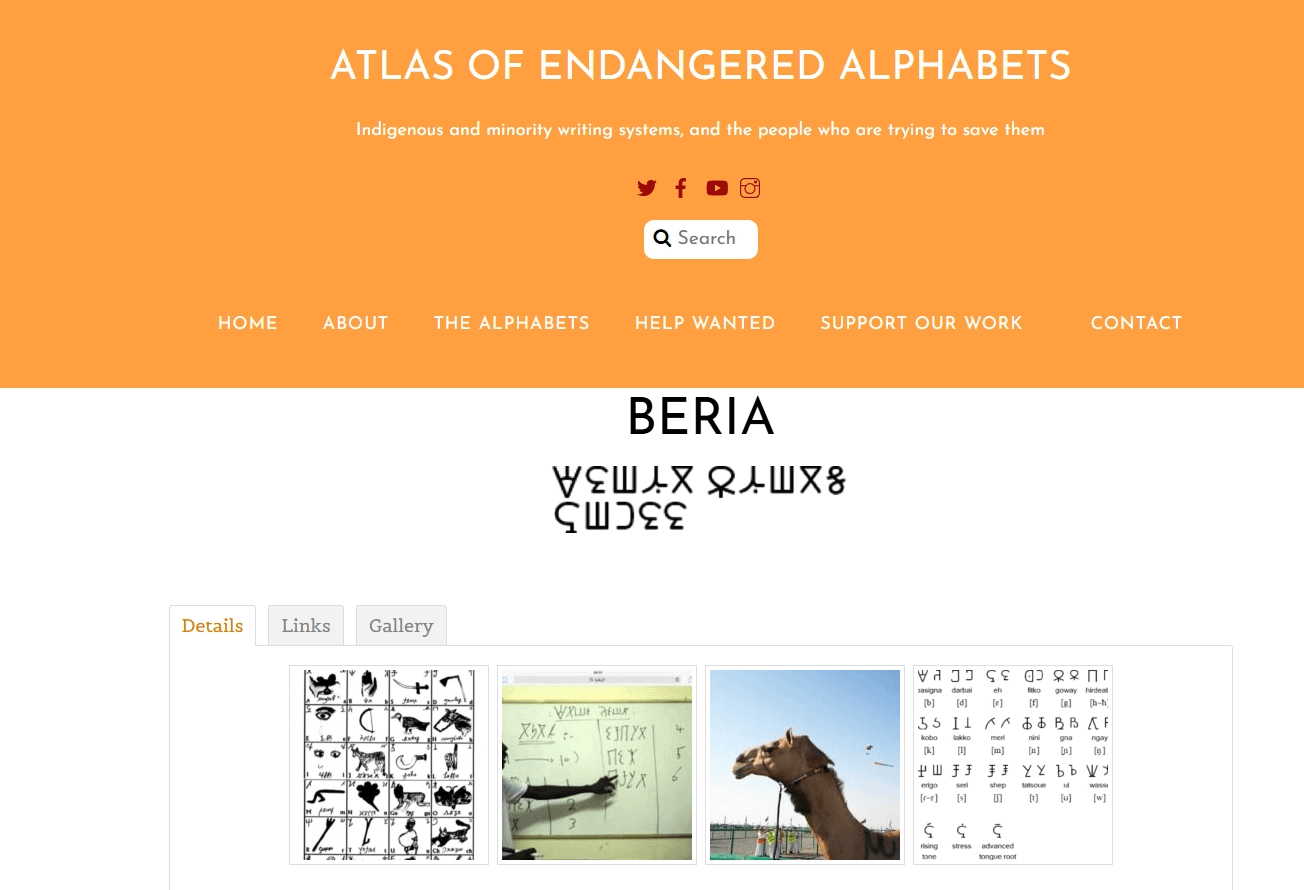 A screenshot from the Atlas of Endangered Alphabets website. The orange header reads "ATLAS OF ENDANGERED ALPHABETS" with the tagline "Indigenous and minority writing systems, and the people who are trying to save them," followed by social media icons, a search bar, and a navigation menu (Home, About, The Alphabets, Help Wanted, Support Our Work, Contact). Below, a page titled "BERIA" displays the script's name written in the Beria (Zaghawa) alphabet. A row of gallery thumbnails shows a chart of pictographic symbols, a person writing characters on a whiteboard, a camel, and a detailed chart of the alphabet's letters with phonetic values.