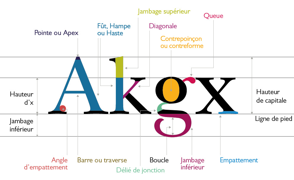 Typographie : historique, vocabulaire et familles de caractères - nůn —  design & arts graphiques