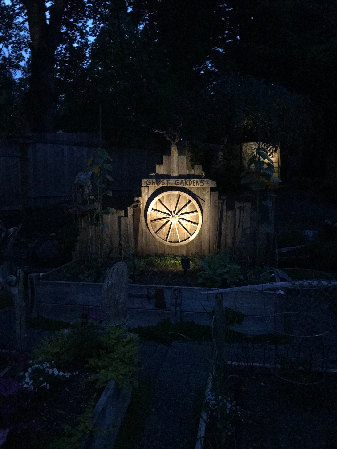 A picture containing outdoor, dark

Description automatically generated