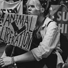 Why You Should Be Vegan as of Today