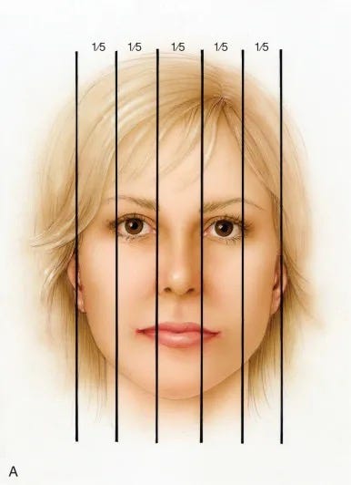 regra dos quintos faciais regra dos quintos faciais