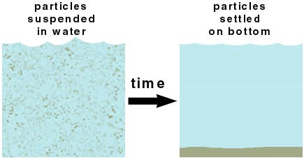 Sedimentation