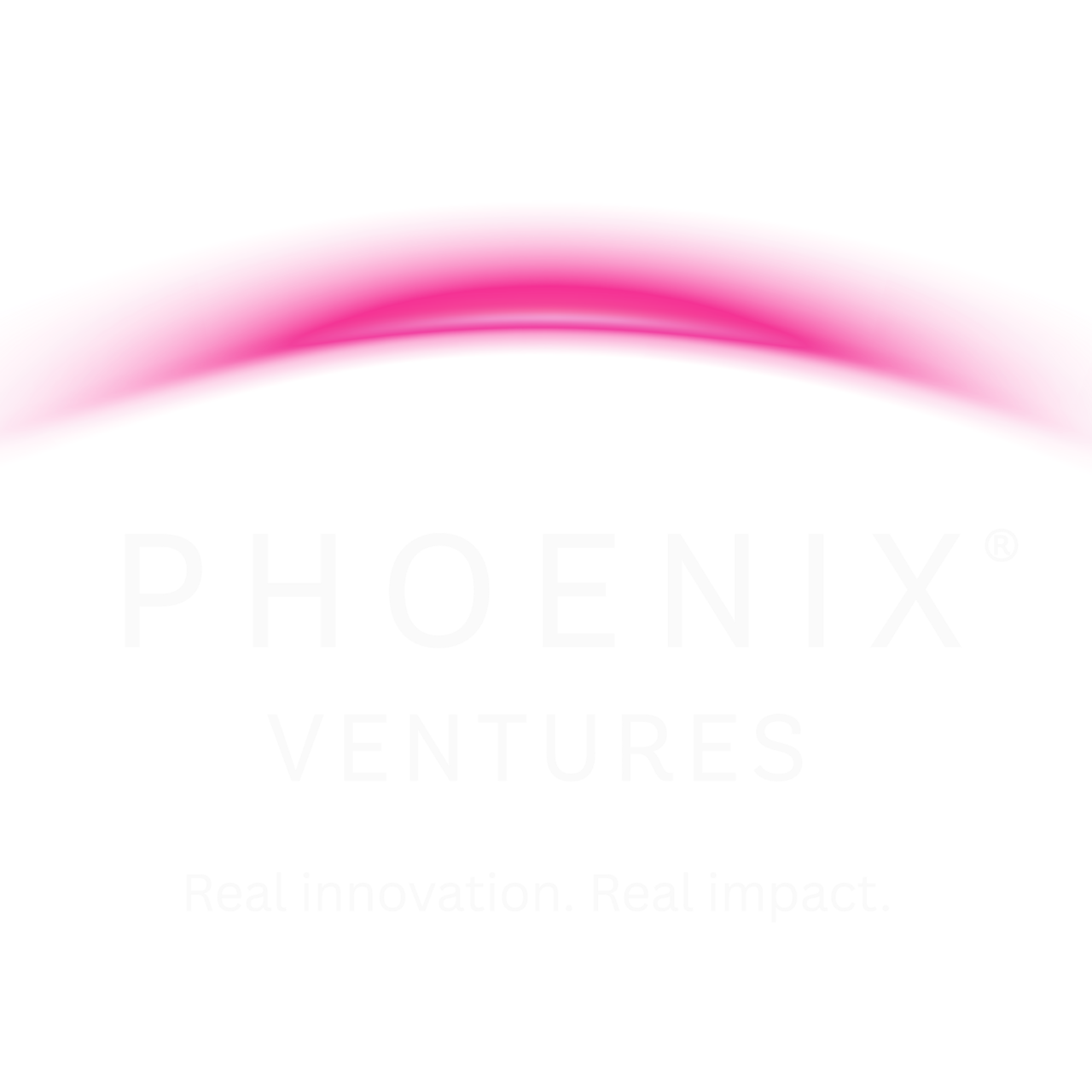 Phoenix Ventures Notes