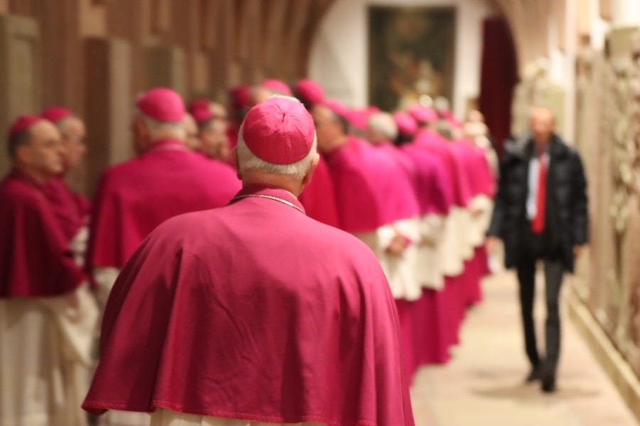 How free is the pope to choose German bishops?