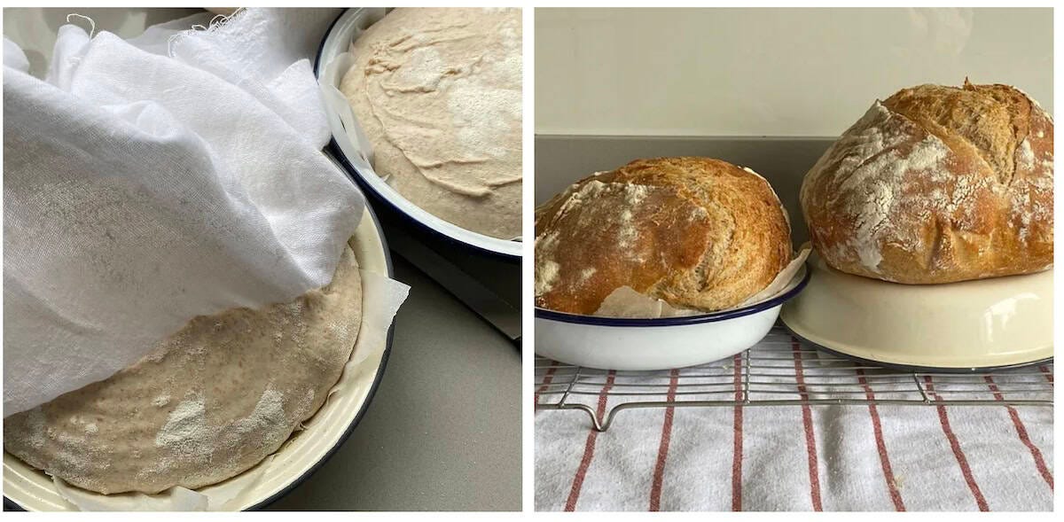 Sourdough loaves in pie tins. Sourdough loaves in pie tins.