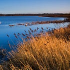 Lough Neagh Partnership webinar available to view