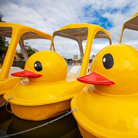 The Duck Test