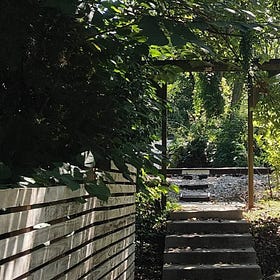 West Davidson Concerns over Red Line