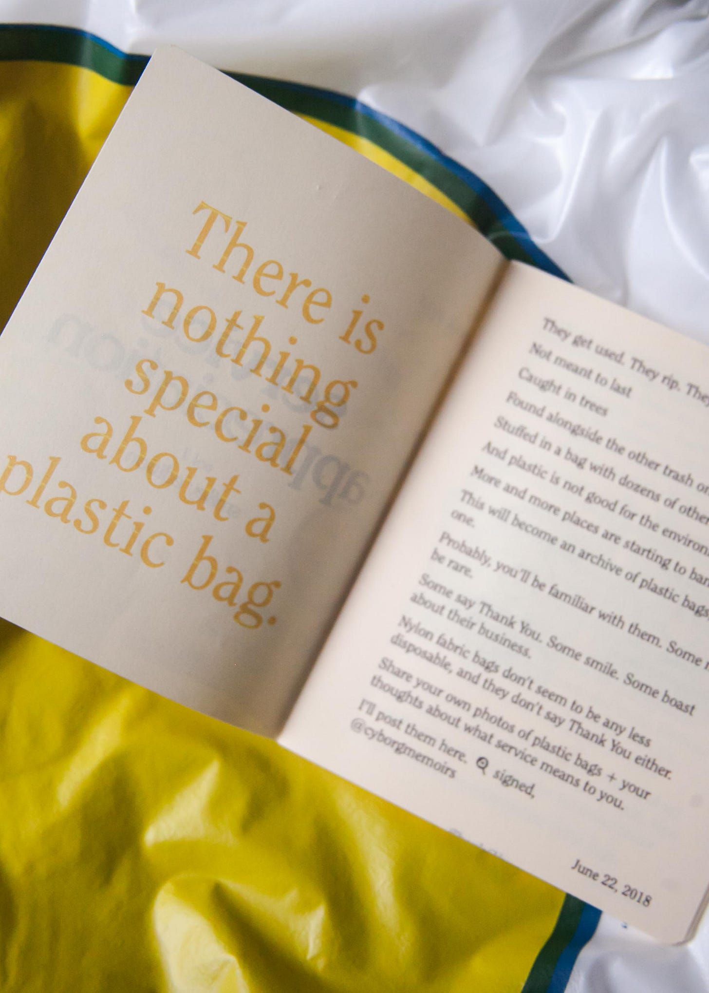 there is nothing special about a plastic bag