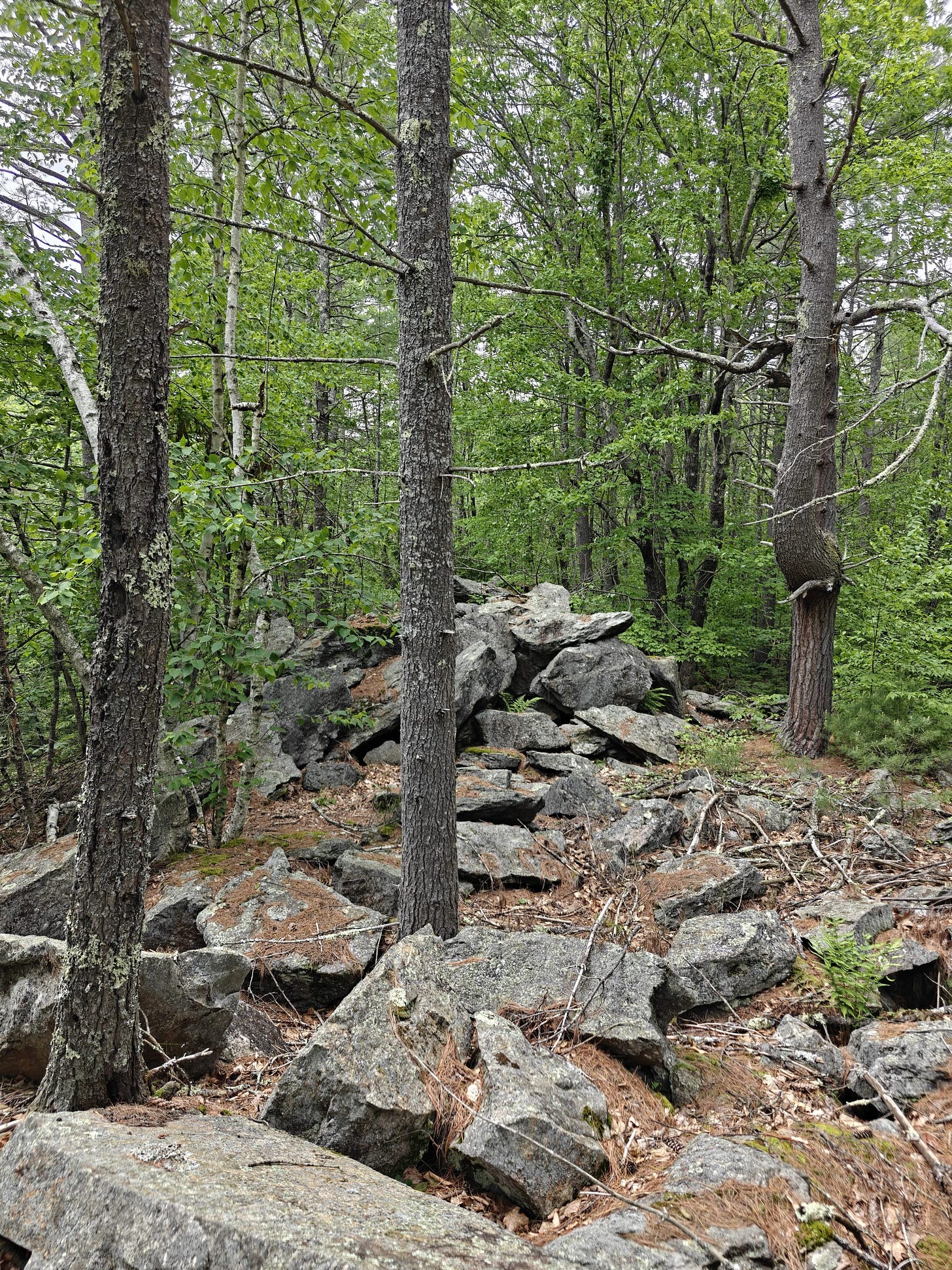 A Trek Along the Cocheco Railroad