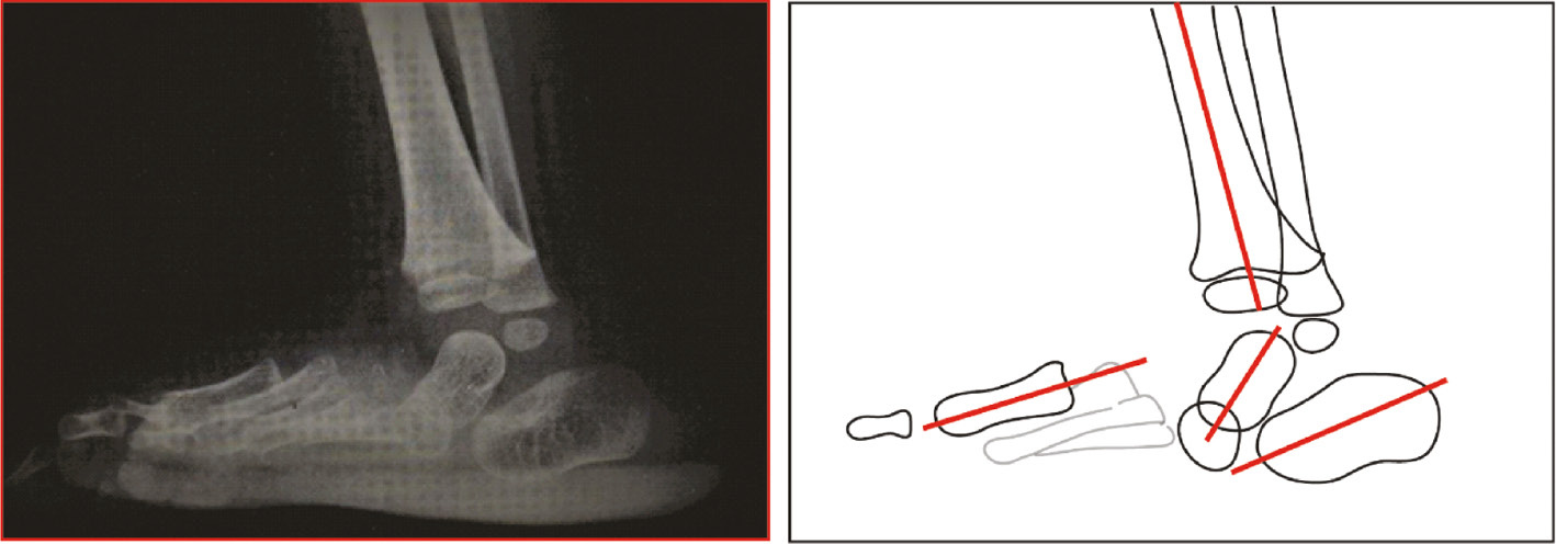 jposna20220038_fig6.jpg