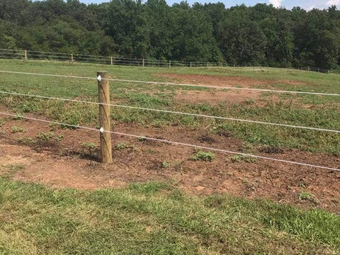 13 High Tensile Tips | Powerflex Fence 13 High Tensile Tips | Powerflex Fence