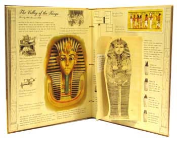 Egyptology by Dugald Steer, Ian Andrew | Waterstones