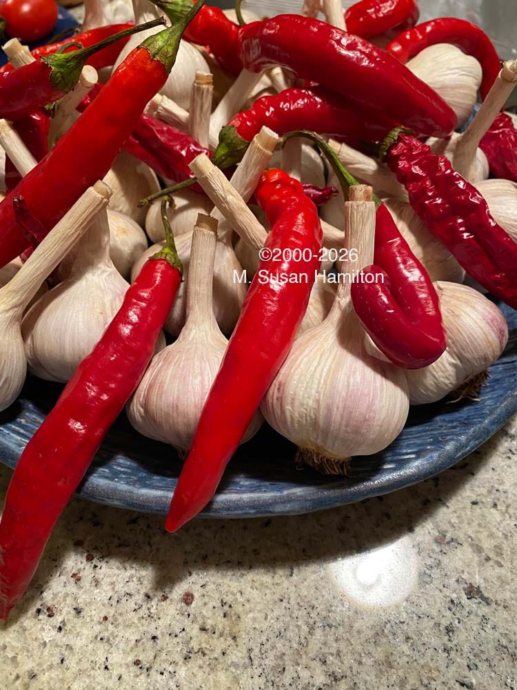 Drying garlic and peppers