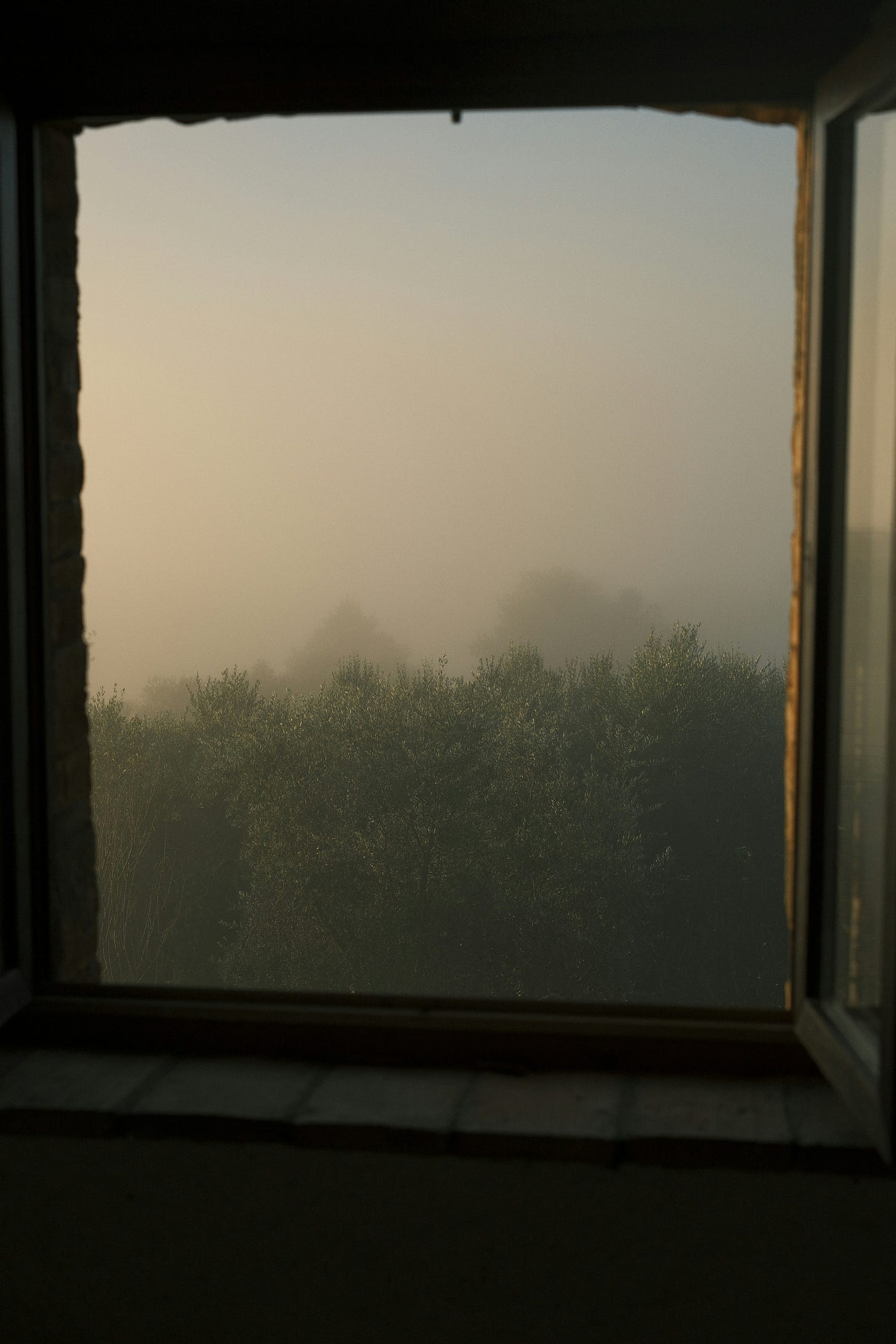 A foggy morning landscape seen through an open window, with trees partially obscured by mist and soft light.