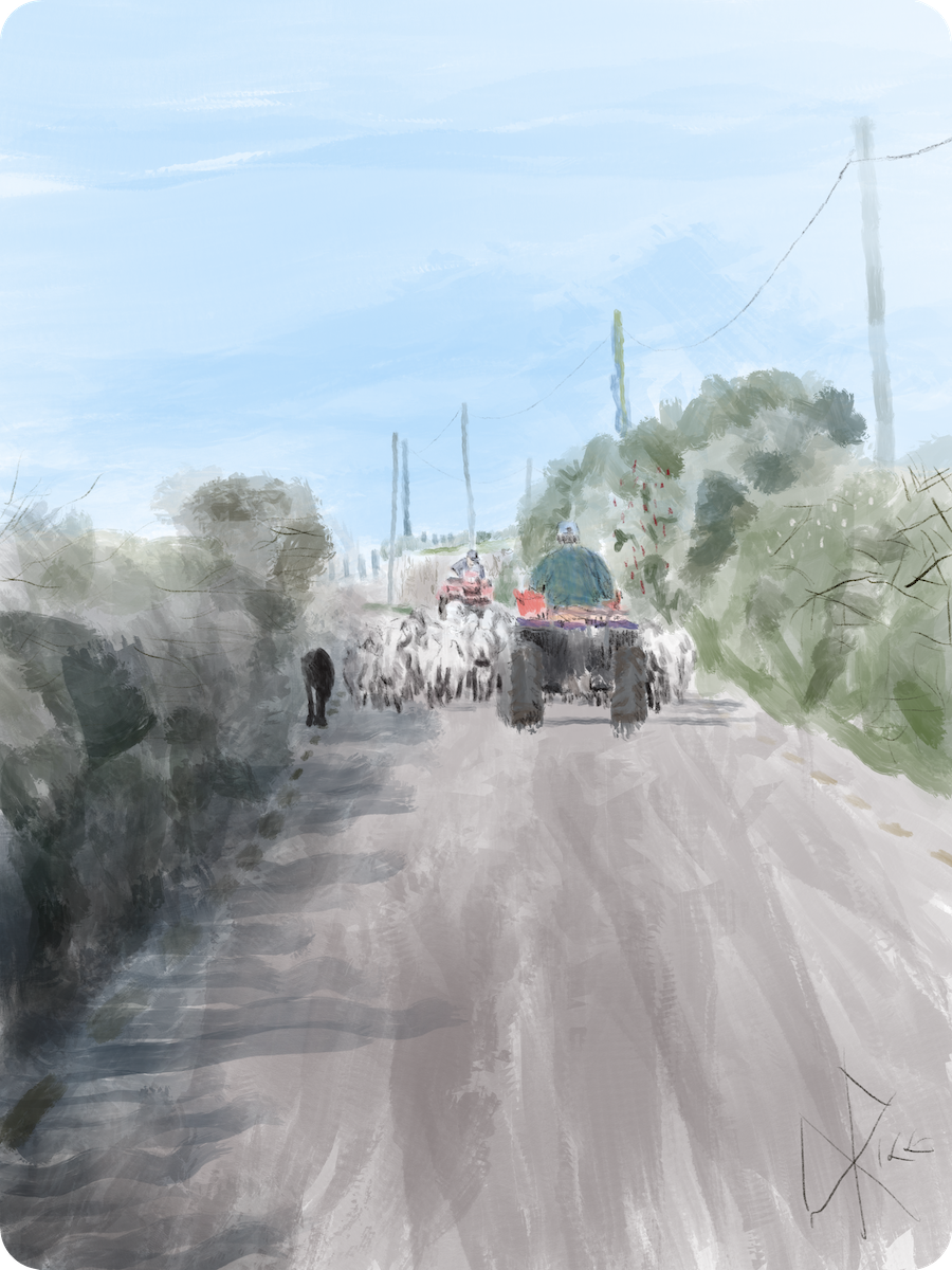 On a bright summer day, fully blocking any traffic, sheep are herded down a tight Irish road by shepherds on all-terrain vehicles and their trusty black sheep dog. Hedges dominate the boundaries of the road. Sketch art by Don Rice. On a bright summer day, fully blocking any traffic, sheep are herded down a tight Irish road by shepherds on all-terrain vehicles and their trusty black sheep dog. Hedges dominate the boundaries of the road. Sketch art by Don Rice.
