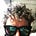Stacy Lambe's avatar