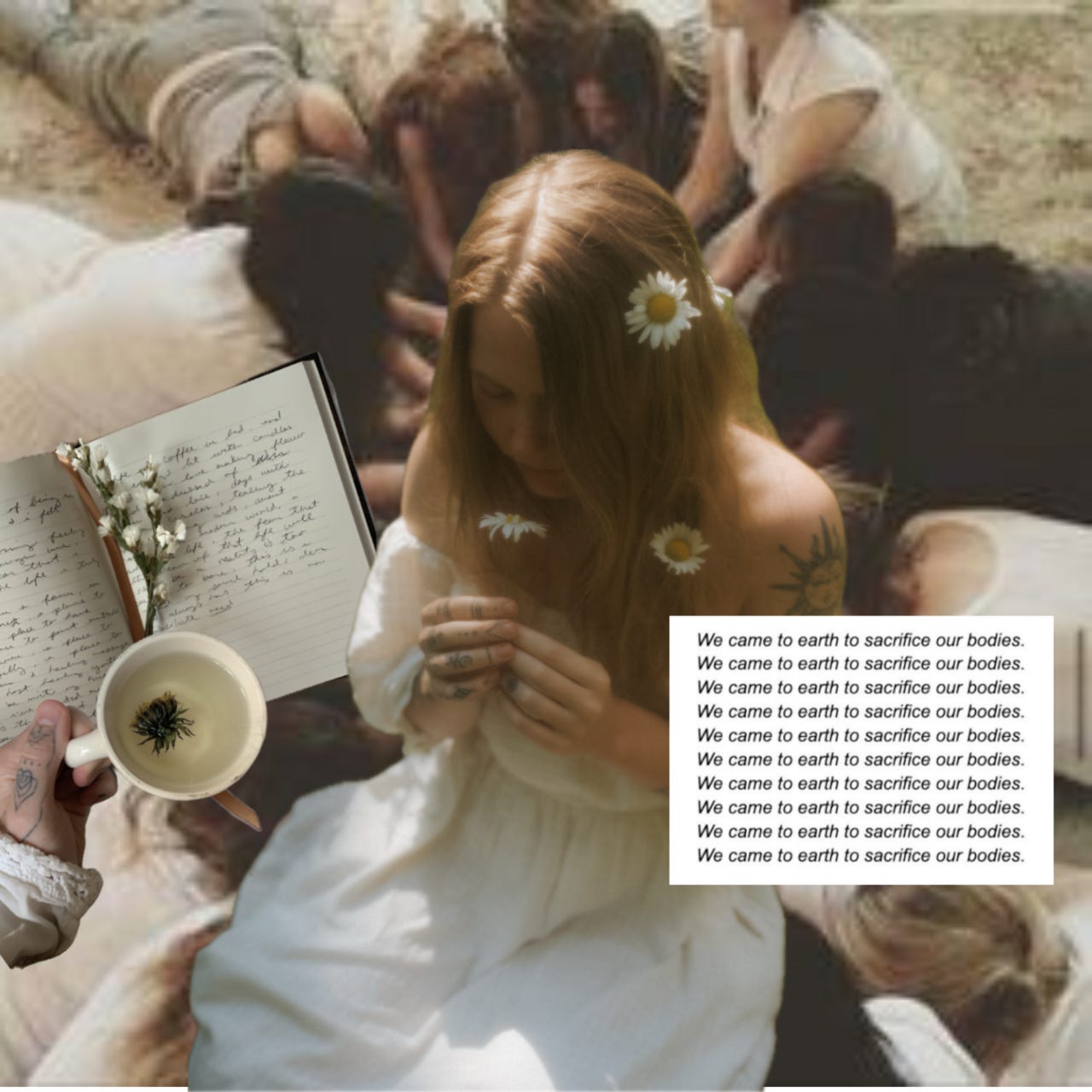 a hummingbird prayer