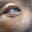 JACKcob8's avatar