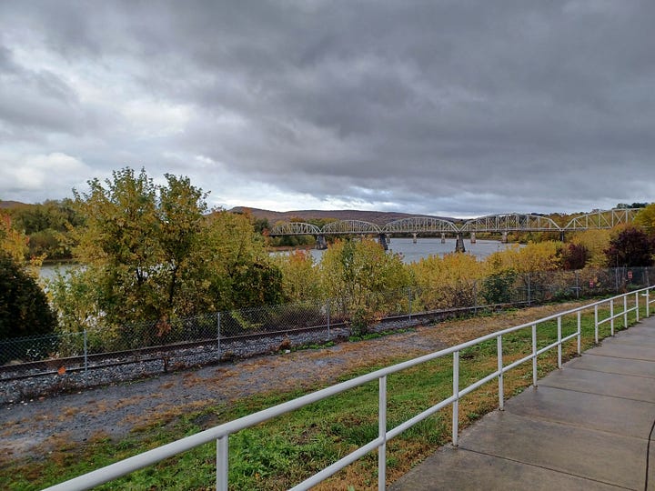 Photos of autumn trees and landscapes