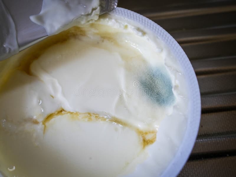 Rotten Yoghurt Stock Photos - Free & Royalty-Free Stock ... Rotten Yoghurt Stock Photos - Free & Royalty-Free Stock ...
