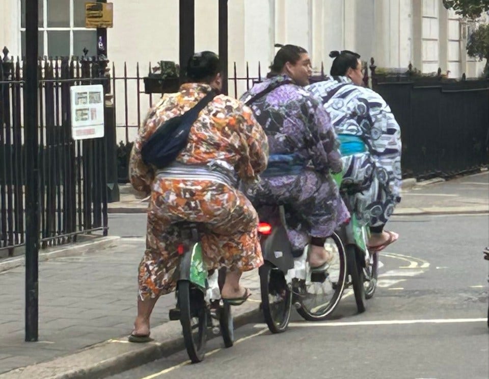 Reinforced toilets, jumbo chairs and wild WAGS - inside Britain's five-day sumo  wrestling festival