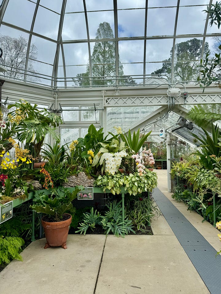 garden, lunch, book store, restaurant
