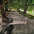 See a linoprint emerge