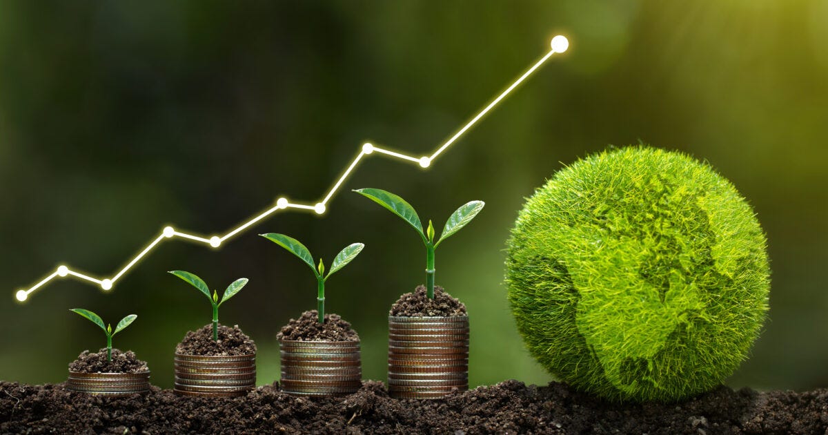 Minister Sees Prospect in Nigeria's CleanTech Sector | Business Post Nigeria