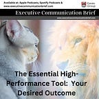 Communication Newsletter