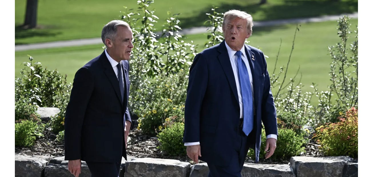 image 5.png image 5.png