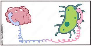 Illustrazione Stock Cartoon 2d artwork showing communication between  microbiome gut bacteria and brain central nervous system. Digital  illustration on white background. | Adobe Stock