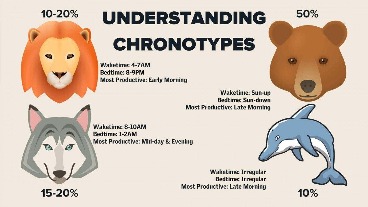 Understanding Your Chronotype for Better Performance and Sleep Understanding Your Chronotype for Better Performance and Sleep