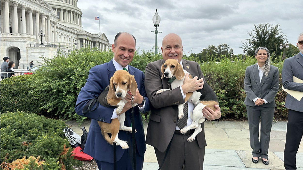 Pocan joins bipartisan bill to end cat, dog testing funding
