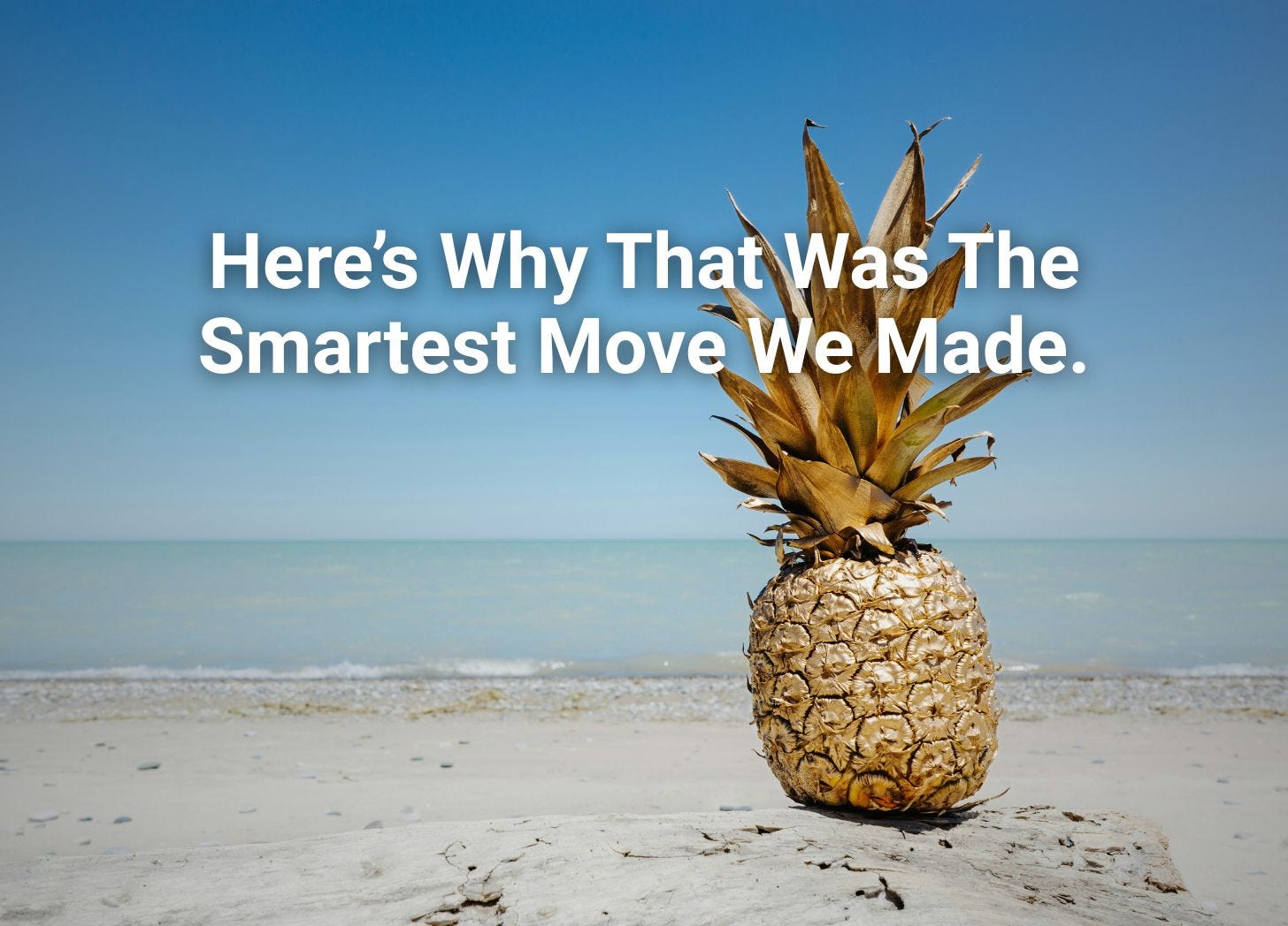 smart pineapple ai platform smart pineapple ai platform