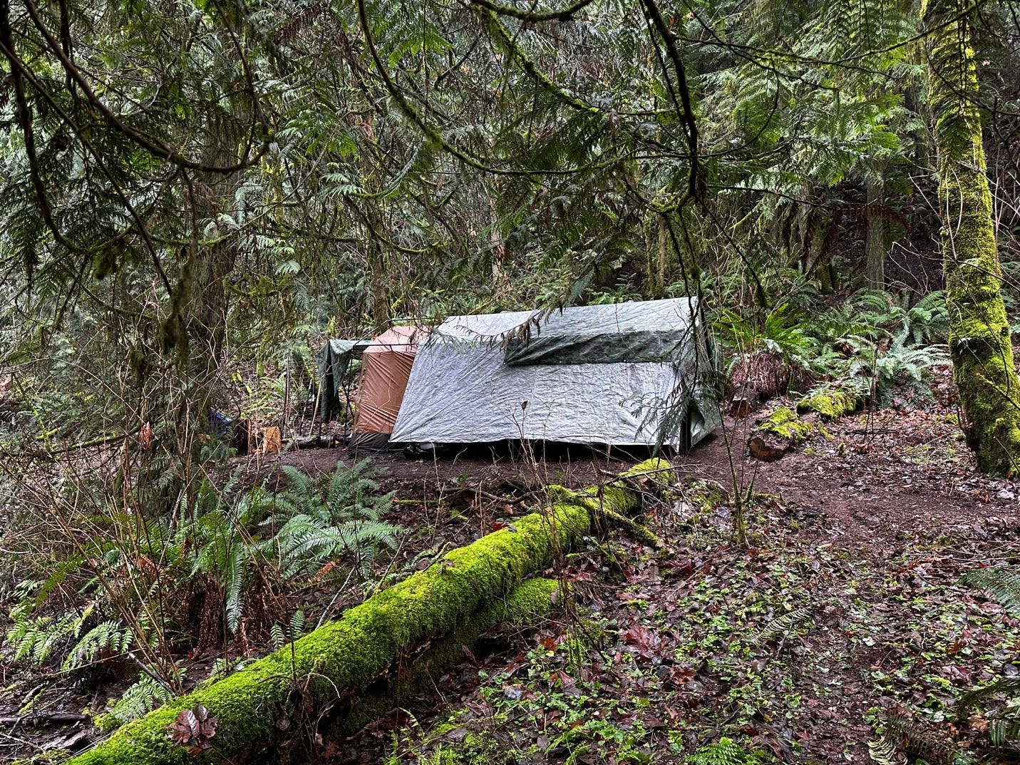 A tent in the woods

Description automatically generated